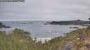 ./images/calvert/foggy-cove/20260501/foggy-cove20260501_074501M.jpg