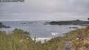 ./images/calvert/foggy-cove/20260501/foggy-cove20260501_075501M.jpg