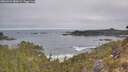 ./images/calvert/foggy-cove/20260501/foggy-cove20260501_080001M.jpg