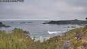 ./images/calvert/foggy-cove/20260501/foggy-cove20260501_080501M.jpg