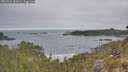 ./images/calvert/foggy-cove/20260501/foggy-cove20260501_081001M.jpg