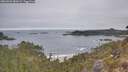 ./images/calvert/foggy-cove/20260501/foggy-cove20260501_082002M.jpg