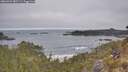 ./images/calvert/foggy-cove/20260501/foggy-cove20260501_082501M.jpg