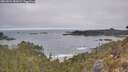 ./images/calvert/foggy-cove/20260501/foggy-cove20260501_083001M.jpg