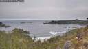 ./images/calvert/foggy-cove/20260501/foggy-cove20260501_083501M.jpg