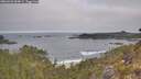 ./images/calvert/foggy-cove/20260501/foggy-cove20260501_084001M.jpg