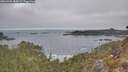 ./images/calvert/foggy-cove/20260501/foggy-cove20260501_085001M.jpg