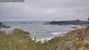 ./images/calvert/foggy-cove/20260501/foggy-cove20260501_085501M.jpg