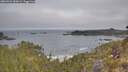 ./images/calvert/foggy-cove/20260501/foggy-cove20260501_090002M.jpg