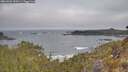 ./images/calvert/foggy-cove/20260501/foggy-cove20260501_090501M.jpg