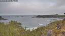 ./images/calvert/foggy-cove/20260501/foggy-cove20260501_091001M.jpg
