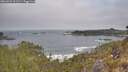 ./images/calvert/foggy-cove/20260501/foggy-cove20260501_091501M.jpg