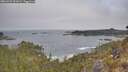 ./images/calvert/foggy-cove/20260501/foggy-cove20260501_092001M.jpg