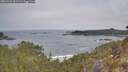 ./images/calvert/foggy-cove/20260501/foggy-cove20260501_092501M.jpg