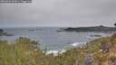 ./images/calvert/foggy-cove/20260501/foggy-cove20260501_093001M.jpg