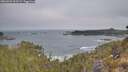 ./images/calvert/foggy-cove/20260501/foggy-cove20260501_093501M.jpg