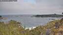 ./images/calvert/foggy-cove/20260501/foggy-cove20260501_094001M.jpg