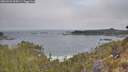 ./images/calvert/foggy-cove/20260501/foggy-cove20260501_094501M.jpg