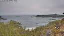./images/calvert/foggy-cove/20260501/foggy-cove20260501_095001M.jpg