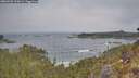 ./images/calvert/foggy-cove/20260501/foggy-cove20260501_100001M.jpg