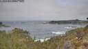 ./images/calvert/foggy-cove/20260501/foggy-cove20260501_100501M.jpg