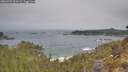 ./images/calvert/foggy-cove/20260501/foggy-cove20260501_101001M.jpg