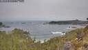 ./images/calvert/foggy-cove/20260501/foggy-cove20260501_101501M.jpg