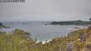 ./images/calvert/foggy-cove/20260501/foggy-cove20260501_102001M.jpg