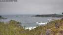 ./images/calvert/foggy-cove/20260501/foggy-cove20260501_102501M.jpg