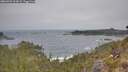 ./images/calvert/foggy-cove/20260501/foggy-cove20260501_103001M.jpg