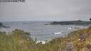 ./images/calvert/foggy-cove/20260501/foggy-cove20260501_103501M.jpg