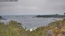./images/calvert/foggy-cove/20260501/foggy-cove20260501_104002M.jpg