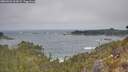 ./images/calvert/foggy-cove/20260501/foggy-cove20260501_104501M.jpg