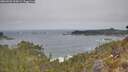 ./images/calvert/foggy-cove/20260501/foggy-cove20260501_105001M.jpg