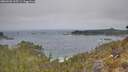 ./images/calvert/foggy-cove/20260501/foggy-cove20260501_105501M.jpg