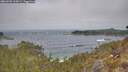 ./images/calvert/foggy-cove/20260501/foggy-cove20260501_110001M.jpg