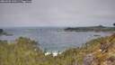 ./images/calvert/foggy-cove/20260501/foggy-cove20260501_110501M.jpg