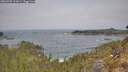 ./images/calvert/foggy-cove/20260501/foggy-cove20260501_111001M.jpg