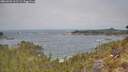 ./images/calvert/foggy-cove/20260501/foggy-cove20260501_111501M.jpg