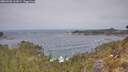 ./images/calvert/foggy-cove/20260501/foggy-cove20260501_112001M.jpg