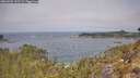 ./images/calvert/foggy-cove/20260501/foggy-cove20260501_112501M.jpg