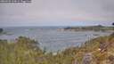 ./images/calvert/foggy-cove/20260501/foggy-cove20260501_113001M.jpg