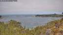 ./images/calvert/foggy-cove/20260501/foggy-cove20260501_113501M.jpg
