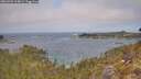 ./images/calvert/foggy-cove/20260501/foggy-cove20260501_114001M.jpg