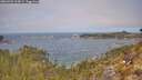 ./images/calvert/foggy-cove/20260501/foggy-cove20260501_114501M.jpg