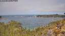 ./images/calvert/foggy-cove/20260501/foggy-cove20260501_115001M.jpg