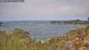./images/calvert/foggy-cove/20260501/foggy-cove20260501_115501M.jpg