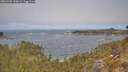 ./images/calvert/foggy-cove/20260501/foggy-cove20260501_120001M.jpg
