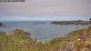 ./images/calvert/foggy-cove/20260501/foggy-cove20260501_120501M.jpg