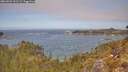 ./images/calvert/foggy-cove/20260501/foggy-cove20260501_121501M.jpg